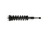 Strut/Coil Spring Assy 153032R