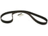 Timing Belt CD295
