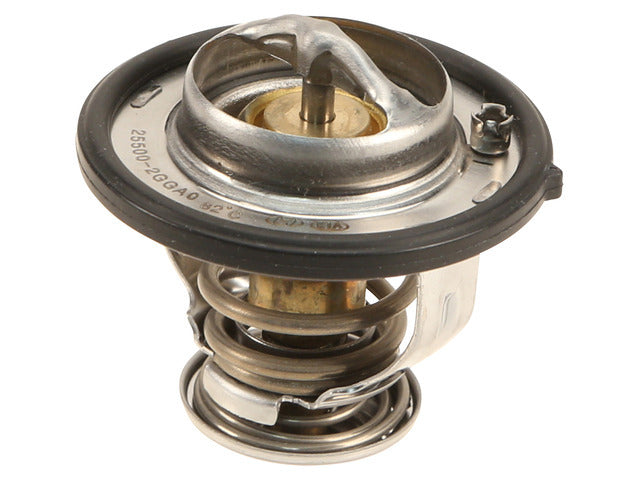 Thermostat 25500-2GGA0