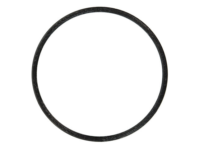 Exhaust Pipe Gasket 61710