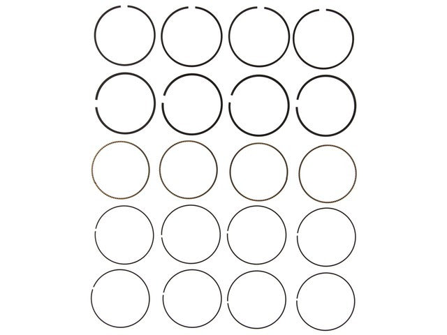 Piston Ring Set 42101CP