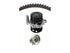 T-Belt Kit w/ Water Pump WP296K1A