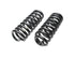 Coil Spring Set CC844