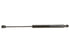 Hatch Strut 033844