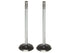 Intake Valve 2114122