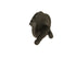 Expansion Tank Cap 16471-AA010
