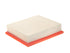 Air Filter A3621CA