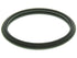 Thermostat Gasket C32144
