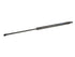 Tailgate Strut SG225016