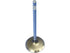 Intake Valve 53020747AB