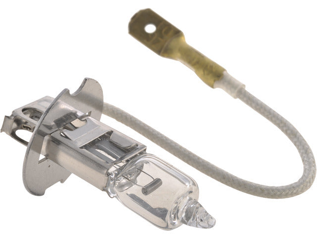 Fog Light Bulb BLBH3-55W