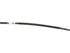 Expansion Tank Hose FL3Z 8A365-B