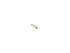 A/C Schrader Valve Cap 15-63665