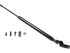 Hatch Strut TFS612421