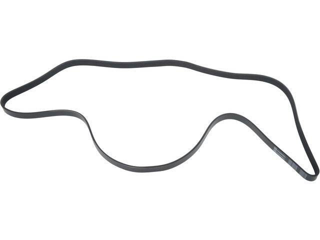 Drive Belt 1602-360439