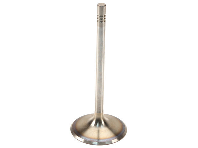 Intake Valve 300100