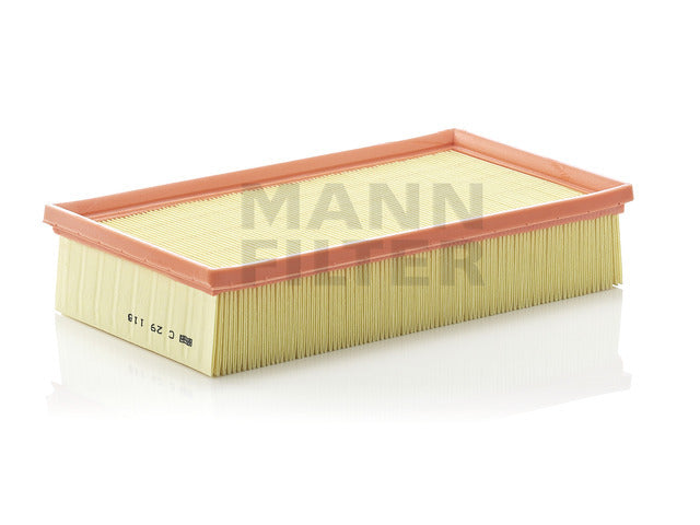 Air Filter C 29 118