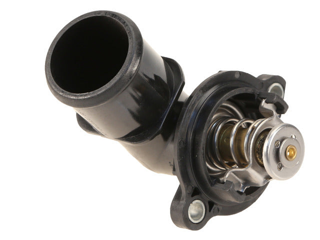 Thermostat Assembly 30600