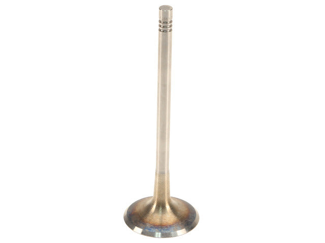 Intake Valve 331162