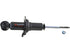 Strut Assembly 2701-248202