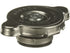 Radiator Cap 31336