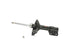 Strut Assembly 339172