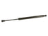 Trunk Strut 034249
