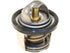 Thermostat 21210 AA291