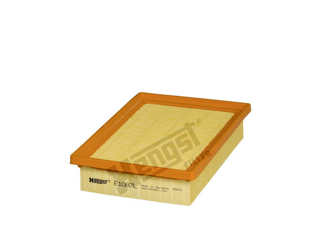 Air Filter E1087L