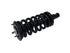 Strut/Coil Spring Assy 171358