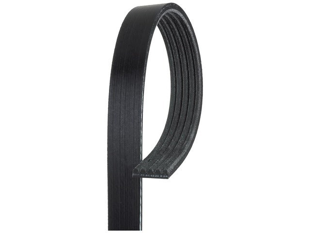 Drive Belt 5K344