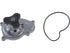 Water Pump 1600-479063