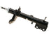 Strut Assembly 470425