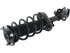 Strut/Coil Spring Assy 2701-524561