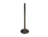 Intake Valve HYA-9-0T