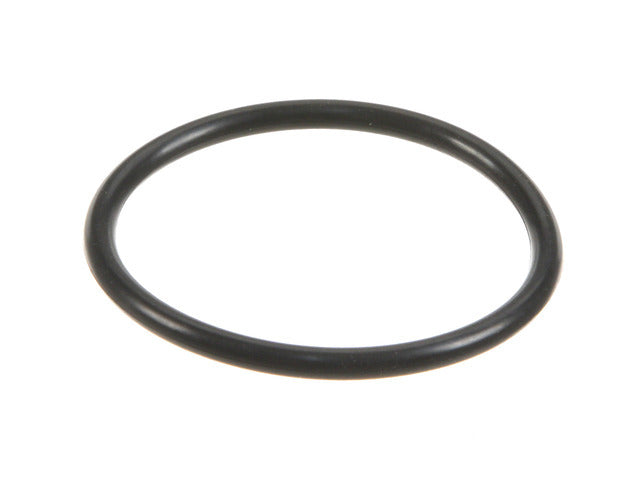 Thermostat Seal / O-Ring 40-76367-00