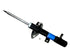 Strut Assembly 312 985