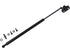 Hood Strut TFS612963