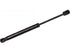 Trunk Strut 187887