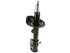 Strut Assembly 474432
