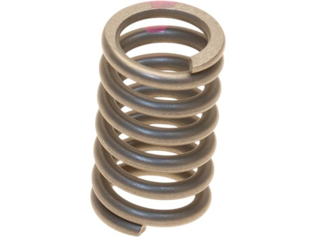Exhaust Spring 90501-A0006