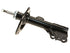 Strut Assembly 474953