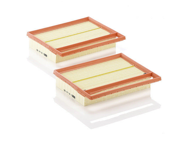 Air Filter Set C 25 110-2