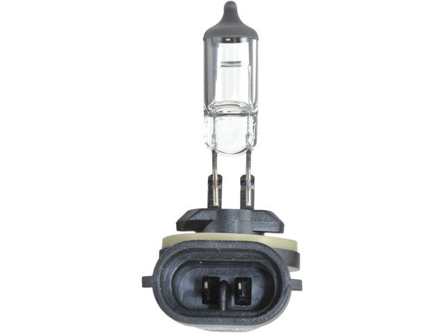 Fog Light Bulb BLB881