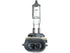 Fog Light Bulb BLB881