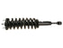 Strut/Coil Spring Assy 710085