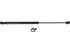 Hatch Strut TFS612376