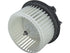 Blower Motor 2400-530271