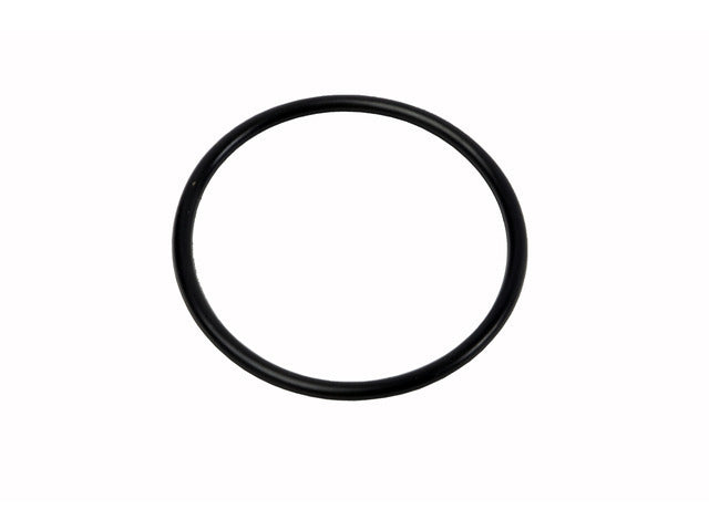 Fuel Pump O-Ring 12602379