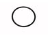 Fuel Pump O-Ring 12602379